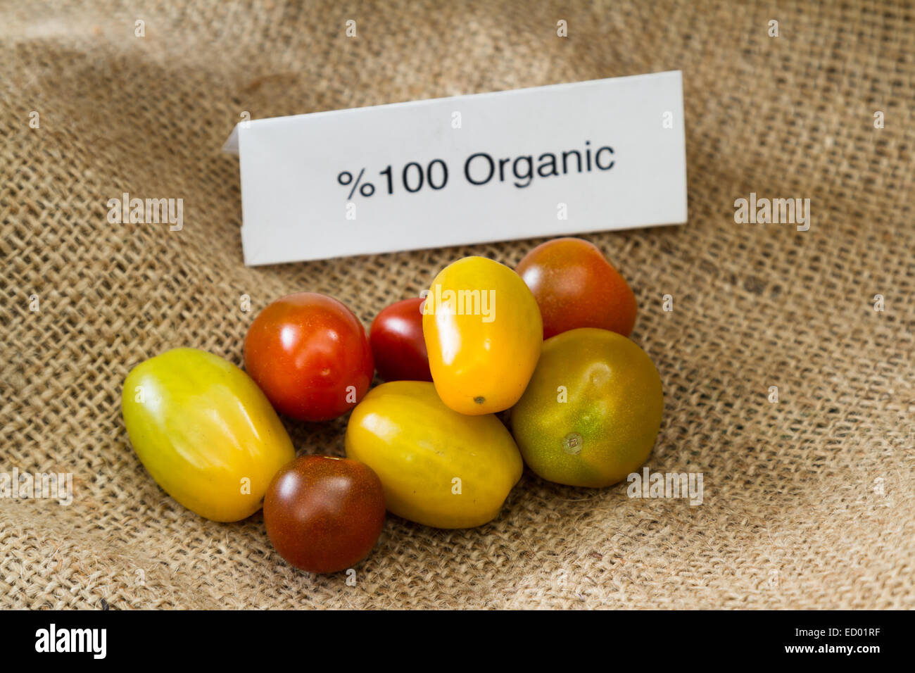 Nahaufnahme von Tomaten mit Bio-Siegel für Verbraucherinformation Stockfoto