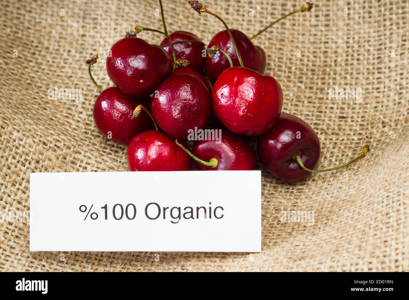 Lebensmittelkennzeichnung-Konzept mit leuchtend roten Kirschen und ein Bio-Siegel Stockfoto