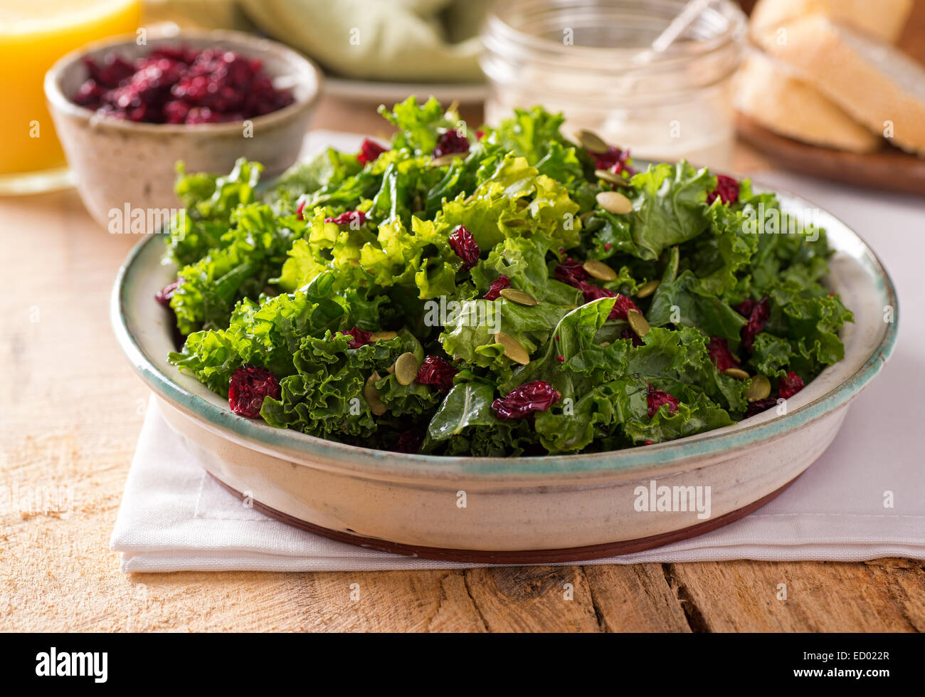 Einen leckeren Grünkohl-Salat mit getrockneten Preiselbeeren und Kürbis-Samen. Stockfoto