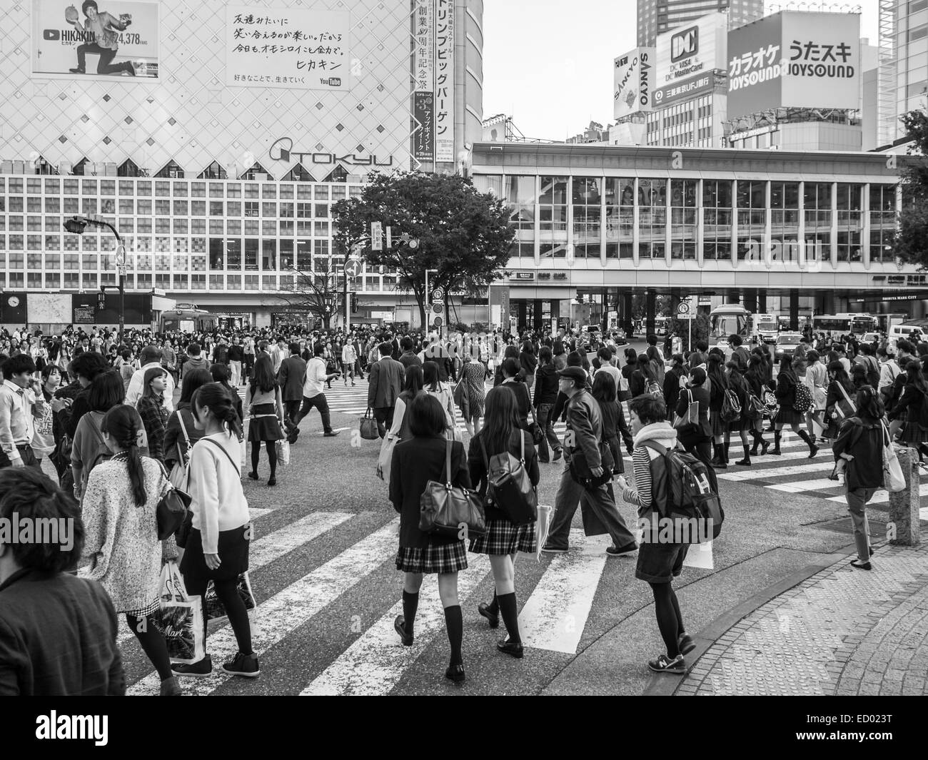 Shibuya-Kreuzung Stockfoto