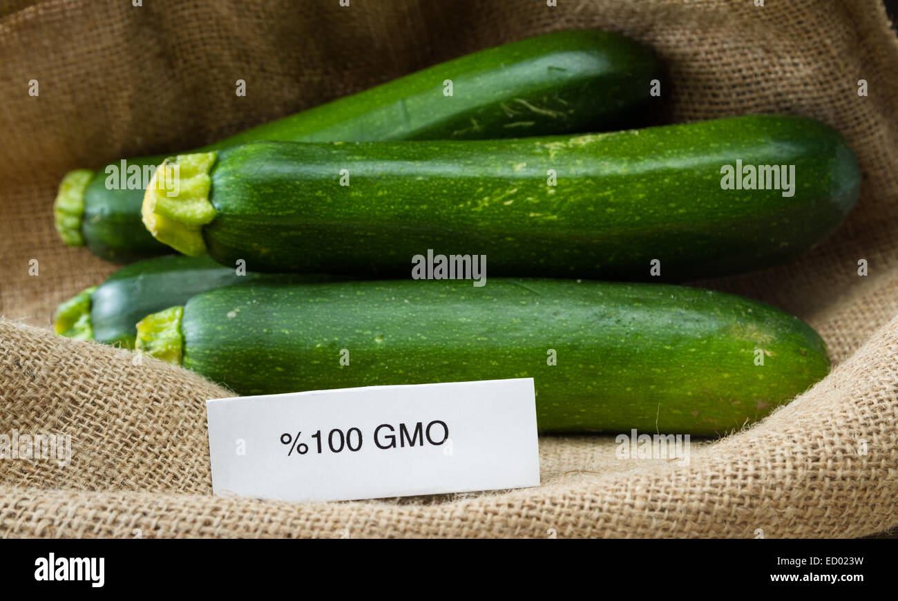 Nahaufnahme von frischen GVO Zucchini oder grüne Kürbis mit einem Sackleinen Sac als Hintergrund Stockfoto