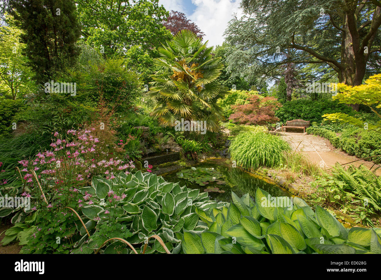 Weg schlängelnd durch Dichte Smaragd Vegetation & vorbei an krautigen Grenze im Secret Garden in Blenheim Palace, England Stockfoto