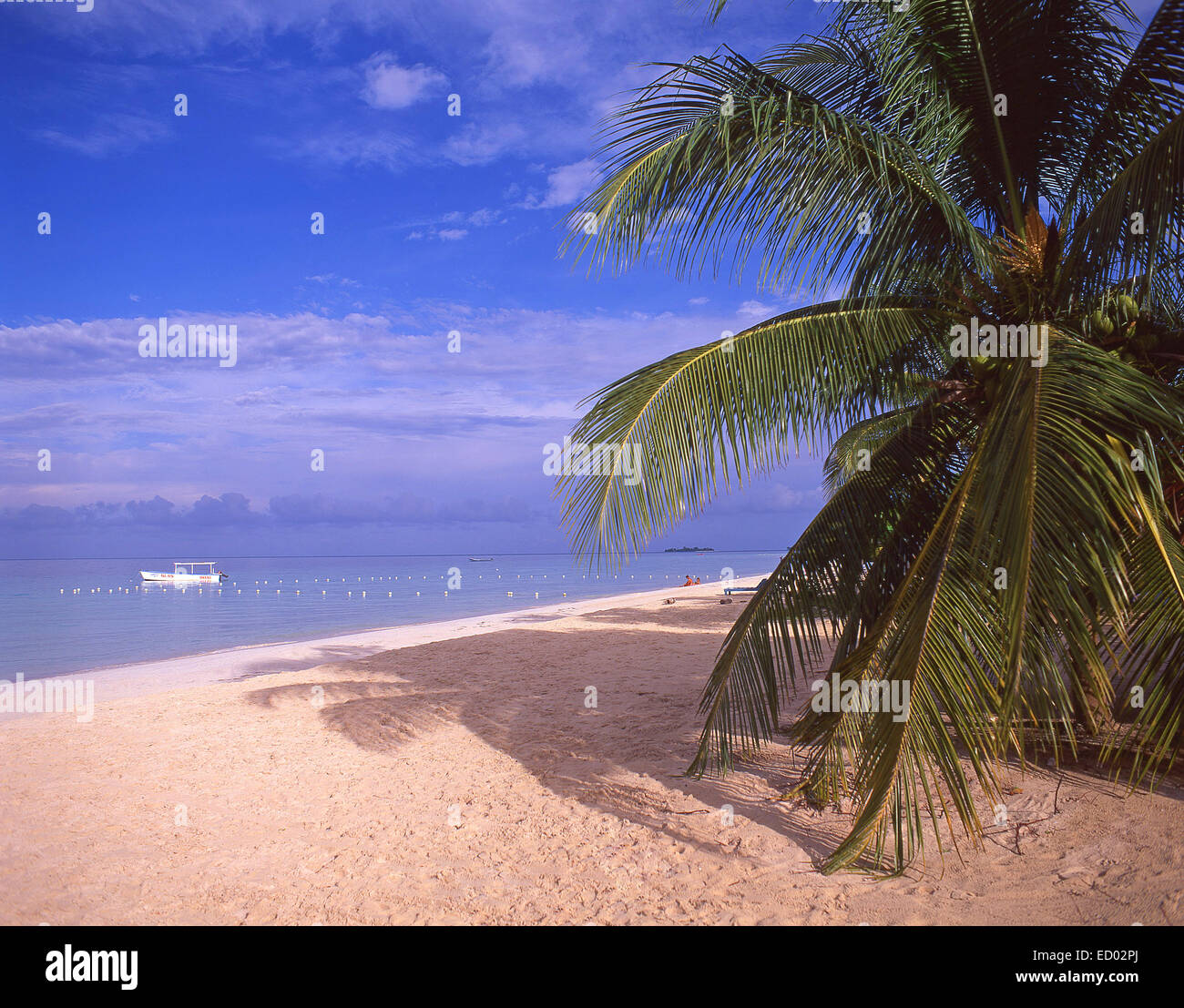 Negril Beach, Negril, Westmoreland Parish, Jamaika, große Antillen, Caribbean Stockfoto
