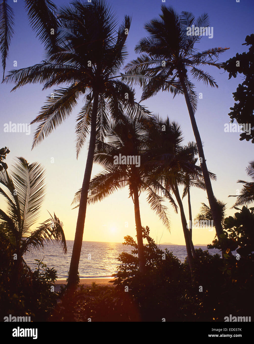 Tropischer Sonnenuntergang, Beachcomber Island Resort, Beachcomber Island, Mamanuca Inseln, Viti Levu, Republik Fidschi-Inseln Stockfoto