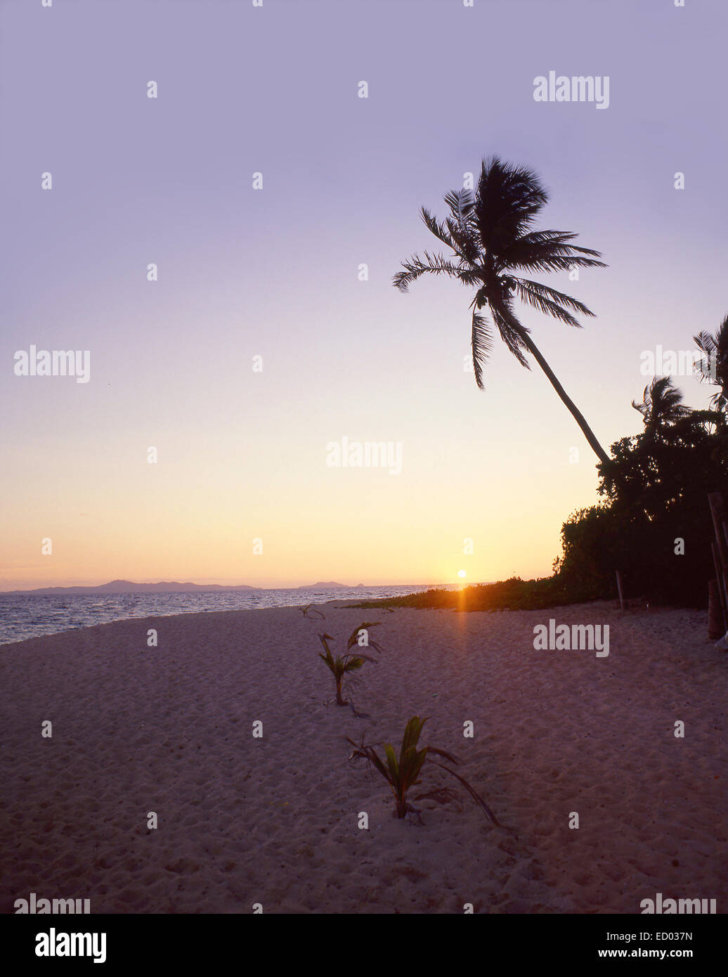 Tropischer Sonnenuntergang, Beachcomber Island Resort, Beachcomber Island, Mamanuca Inseln, Viti Levu, Republik Fidschi-Inseln Stockfoto