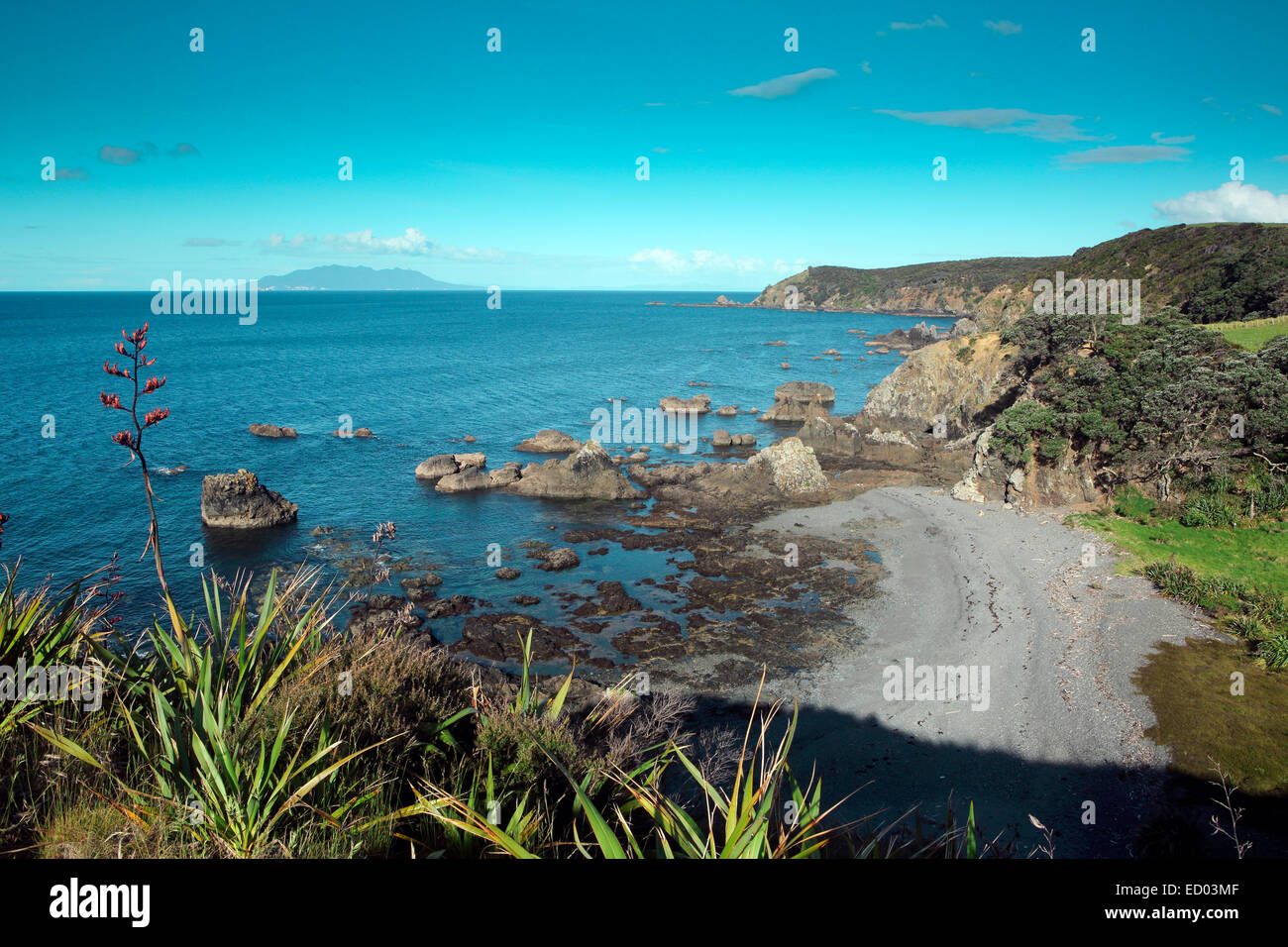 Tawharanui Regionalpark und Meeresschutzgebiet in Northland, Neuseeland Stockfoto