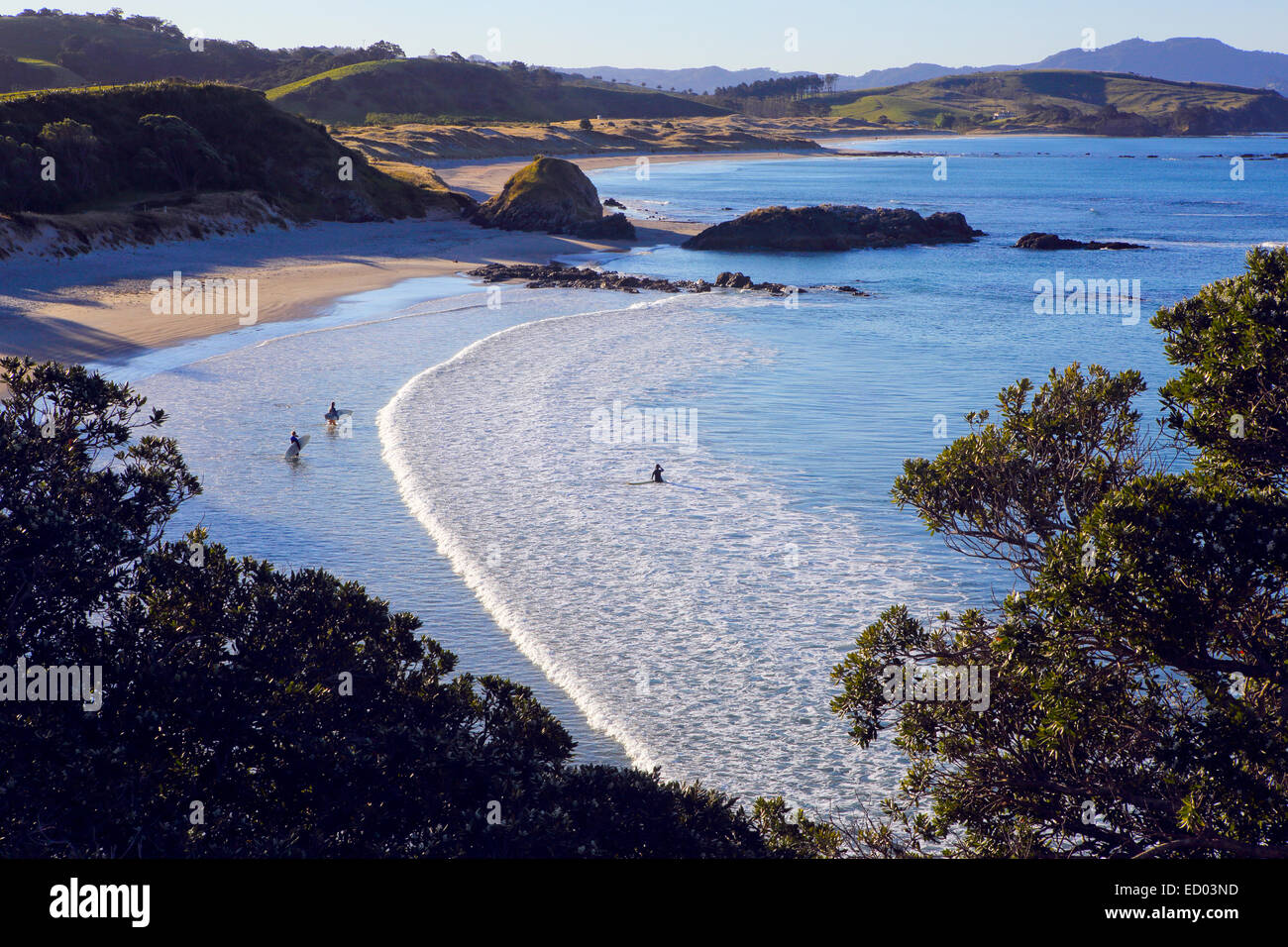 Menschen kleine Wellen zum Surfen am idyllischen Sandstrand in Tawharanui, Neuseeland Stockfoto