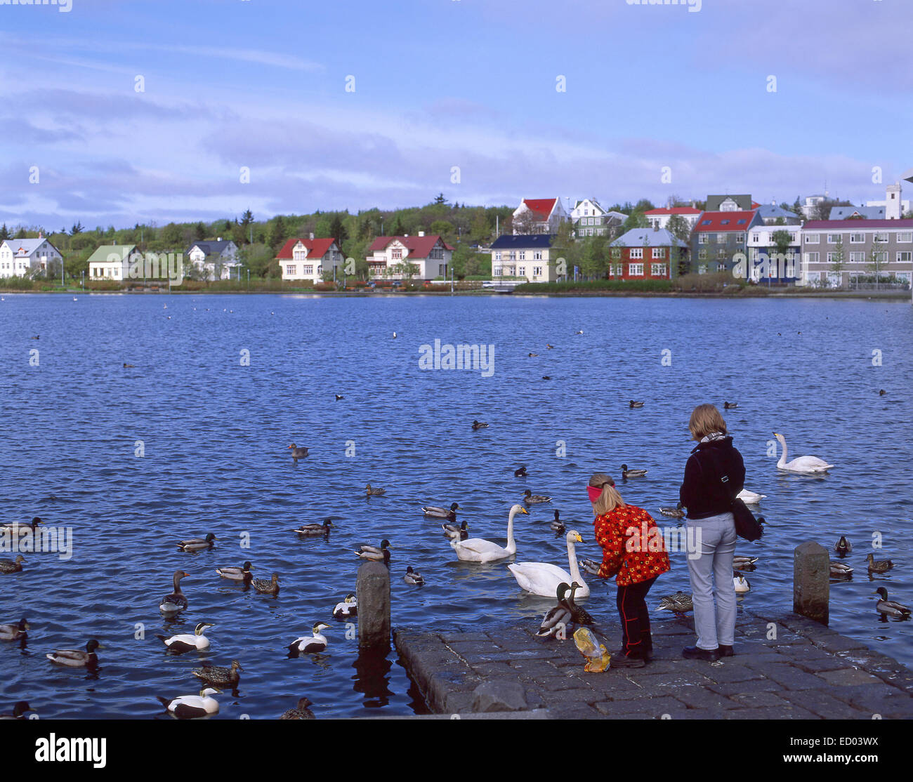 Kinder füttern Enten, Lake Tjörnin, Reykjavík, Hauptstadtregion, Republik Island Stockfoto