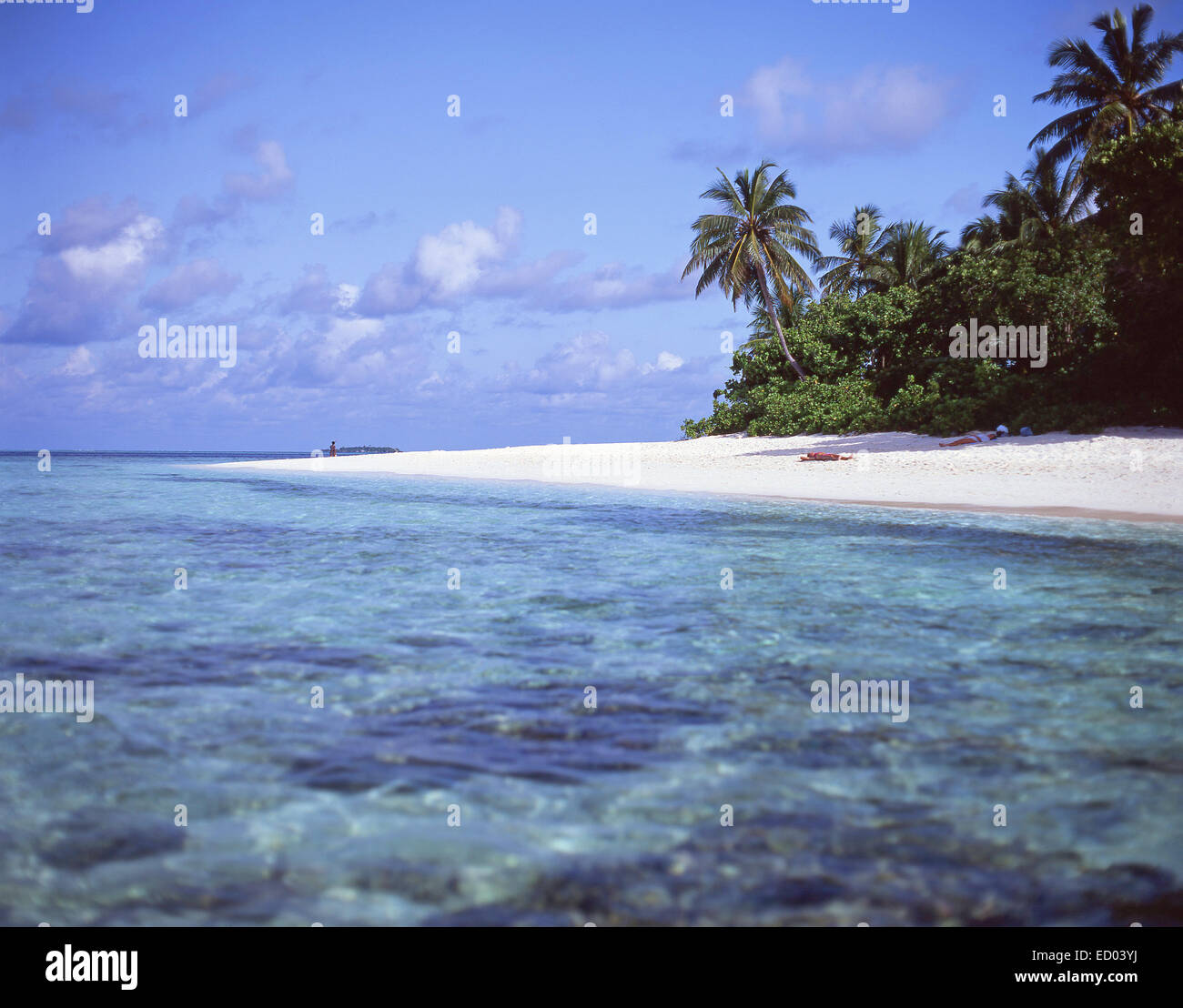 Tropischen Strandblick, Kuda Bandos, Republik Malediven, Kaafu Atoll, Bandos Island Stockfoto