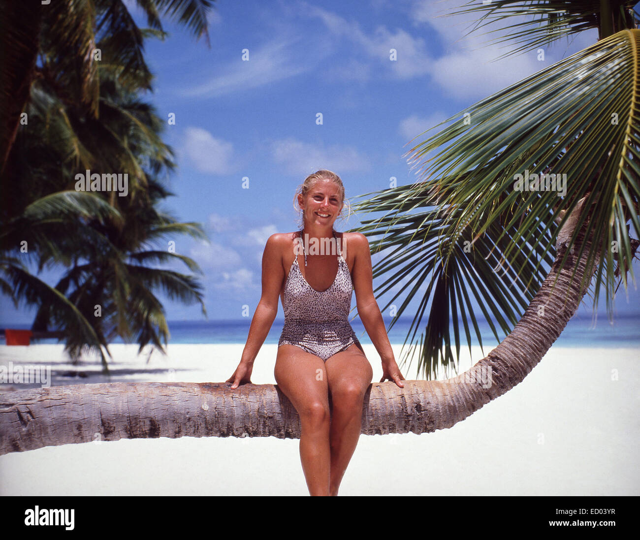 Junge Frau sitzt auf Palme, Kuda Bandos, Republik Malediven, Kaafu Atoll, Bandos Island Stockfoto