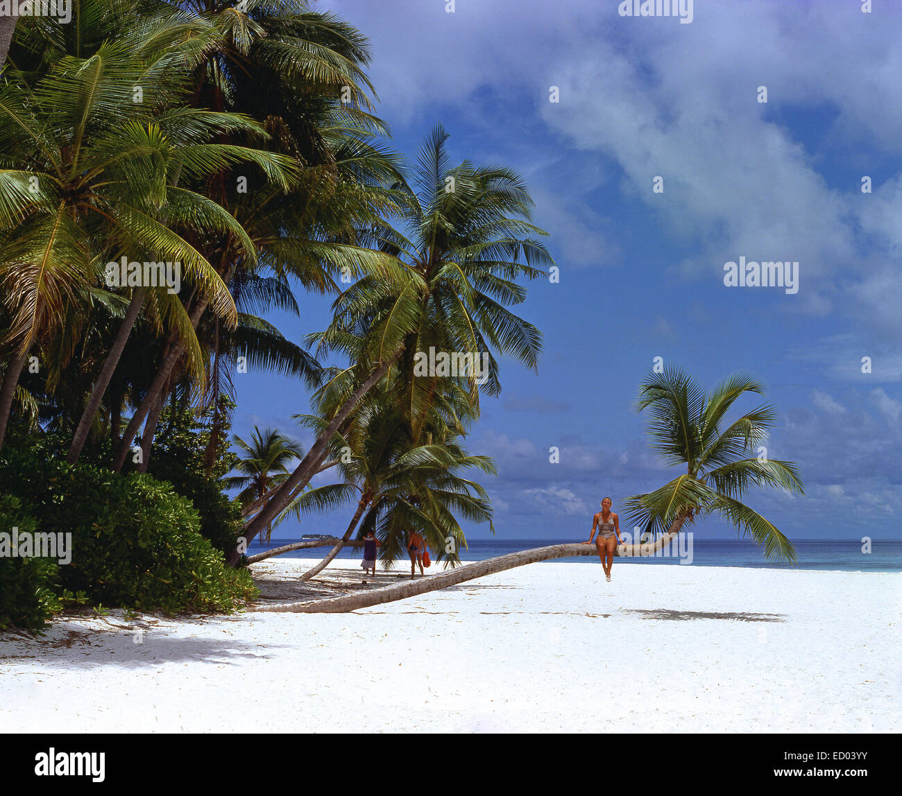 Junge Frau sitzt auf Palme, Kuda Bandos, Republik Malediven, Kaafu Atoll, Bandos Island Stockfoto