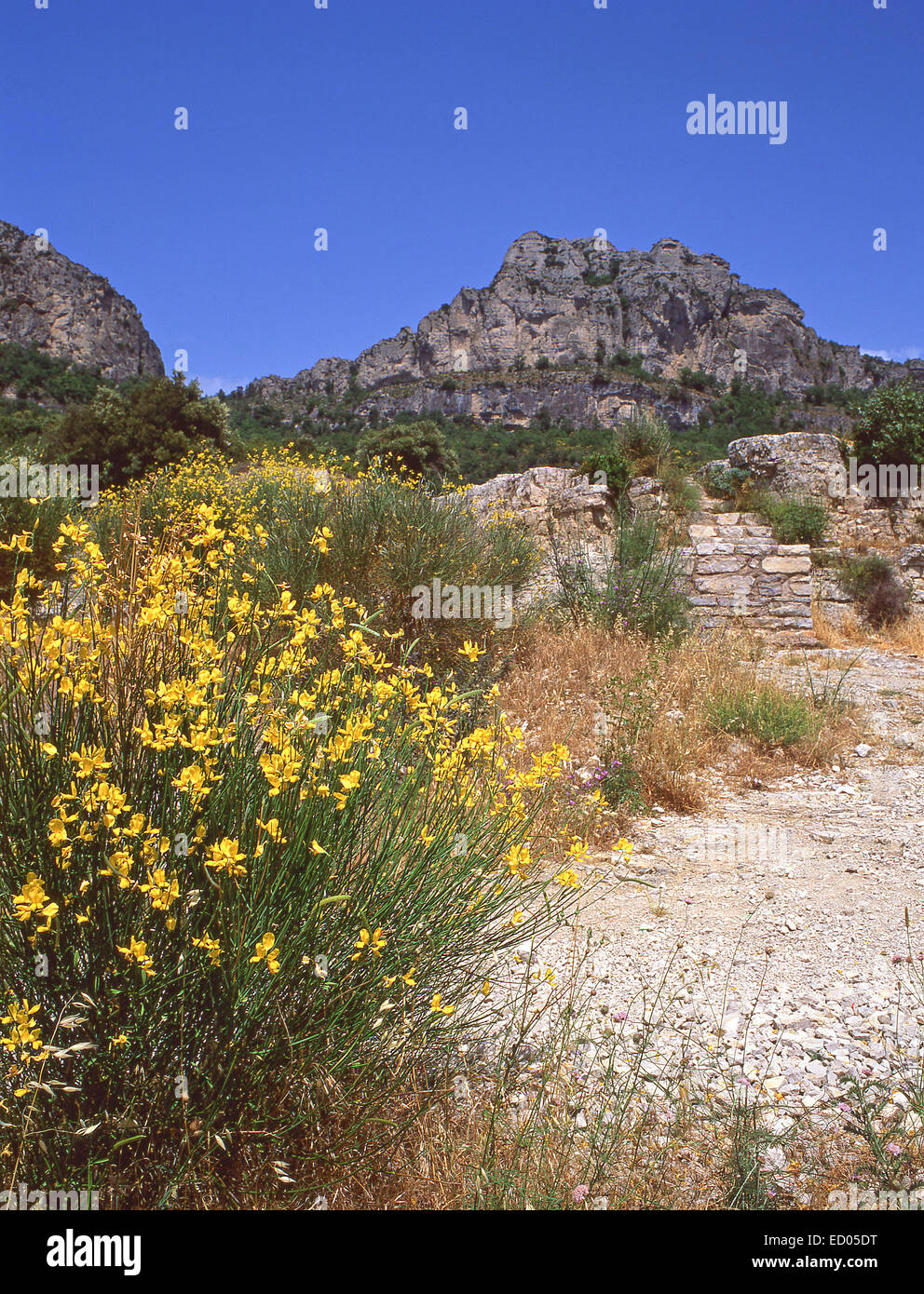 Querformat, Ardèche, Cevennen-Nationalpark (Parc national des Cévennes), die Region Rhône-Alpes, Frankreich Stockfoto