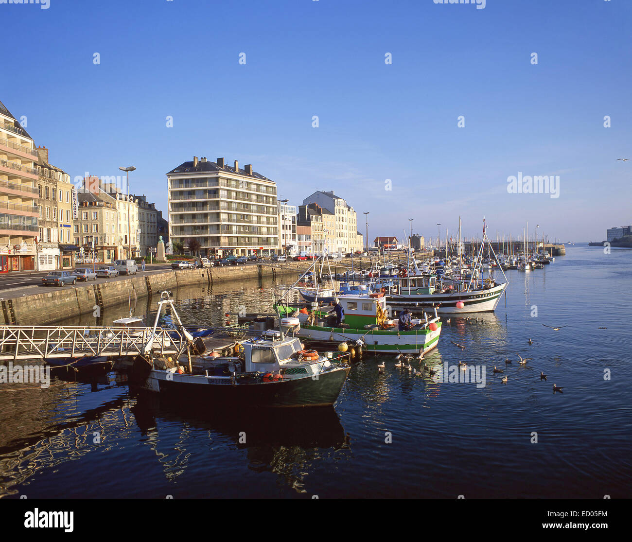 Angelboote/Fischerboote im Hafen von Cherbourg, Cherbourg-Octeville, Manche, untere Normandie, Frankreich Stockfoto