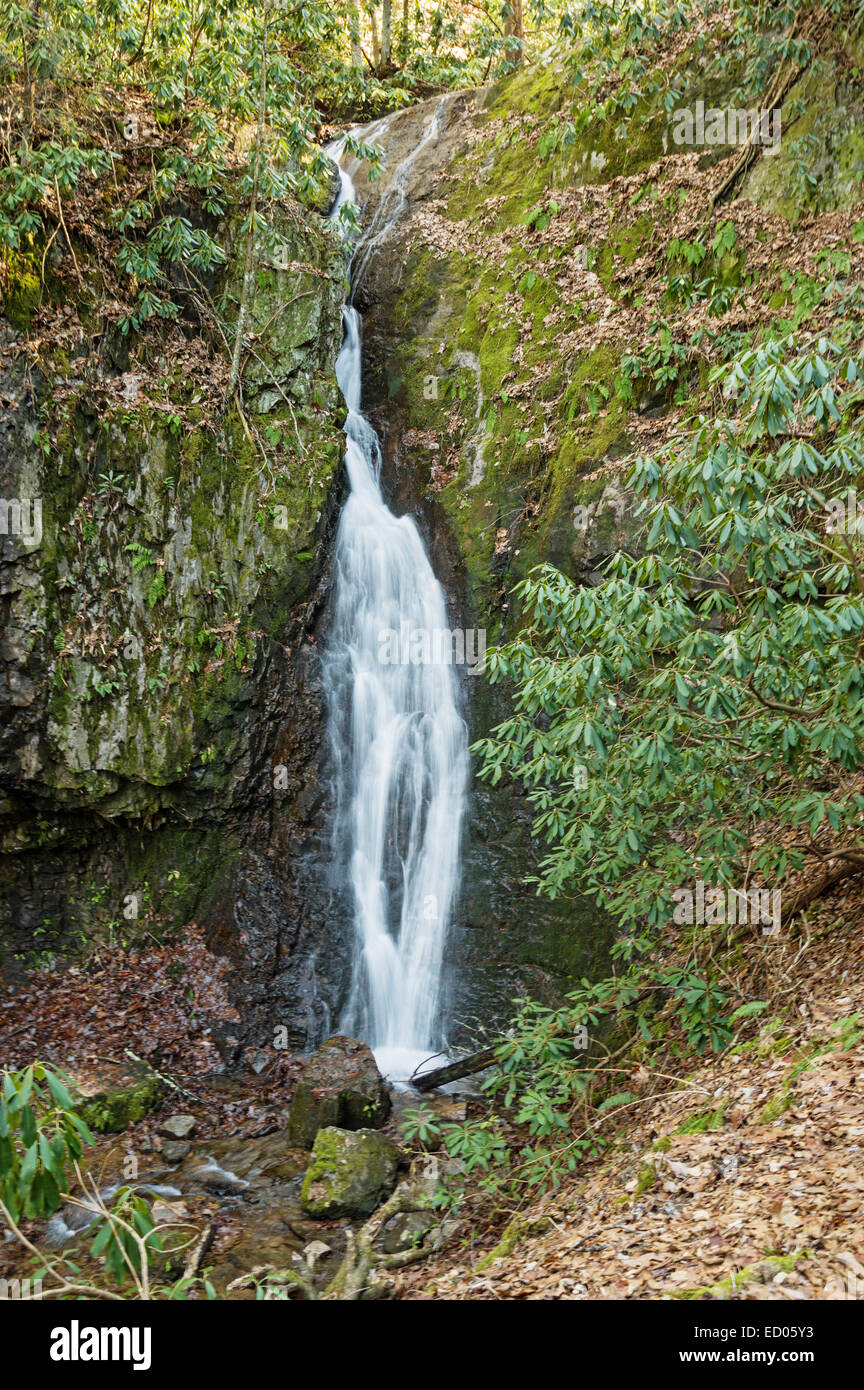 Rückgrat Rock Falls Wasserfall im Osten von Tennessee Stockfoto
