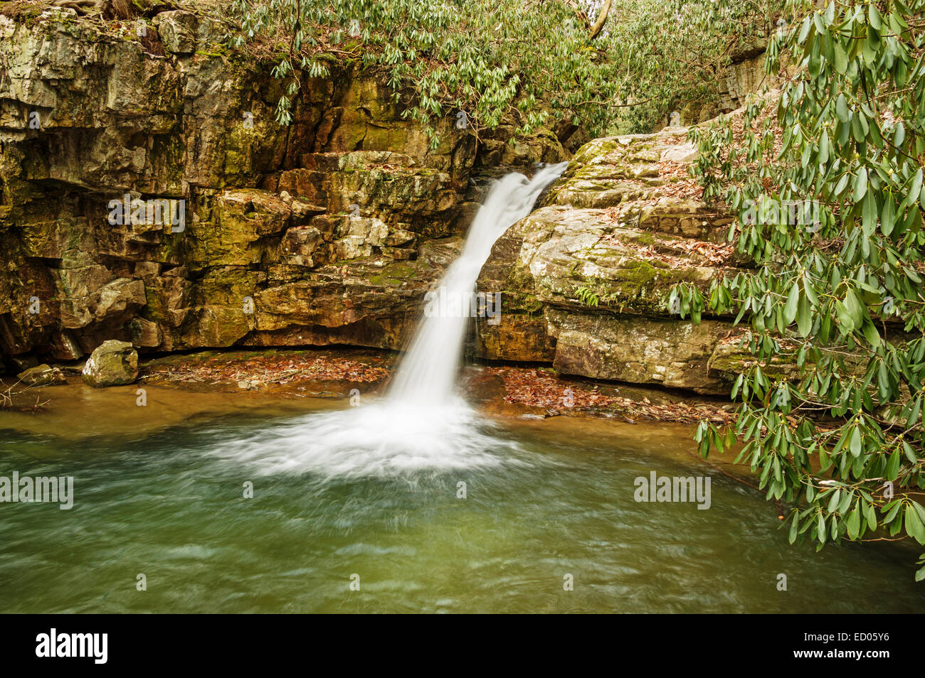 Blue Hole Falls Wasserfall entlang Stoney Creek in Tennessee Stockfoto