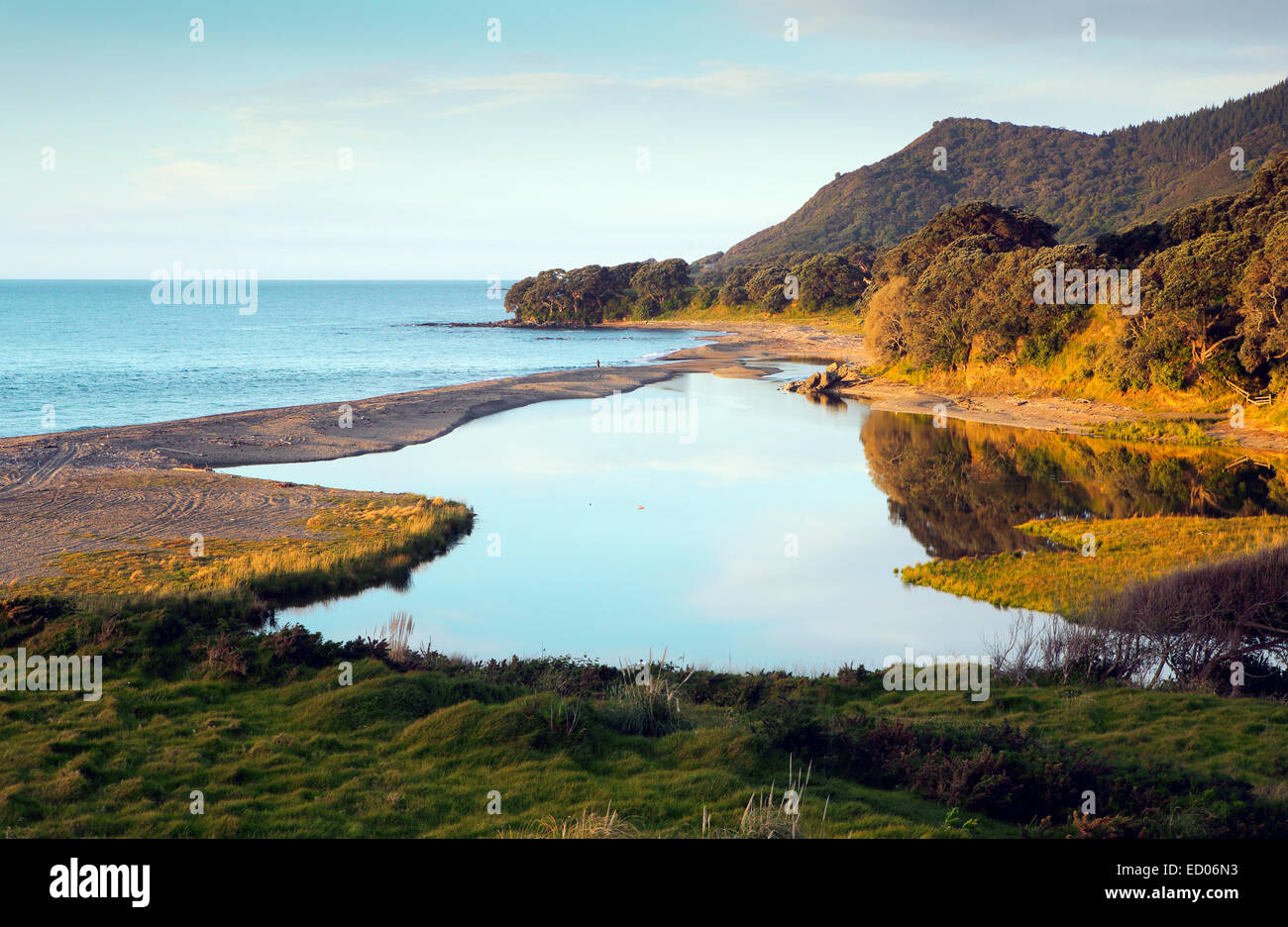 Malerische Küste in der Bay of Plenty, New Zealand Stockfoto