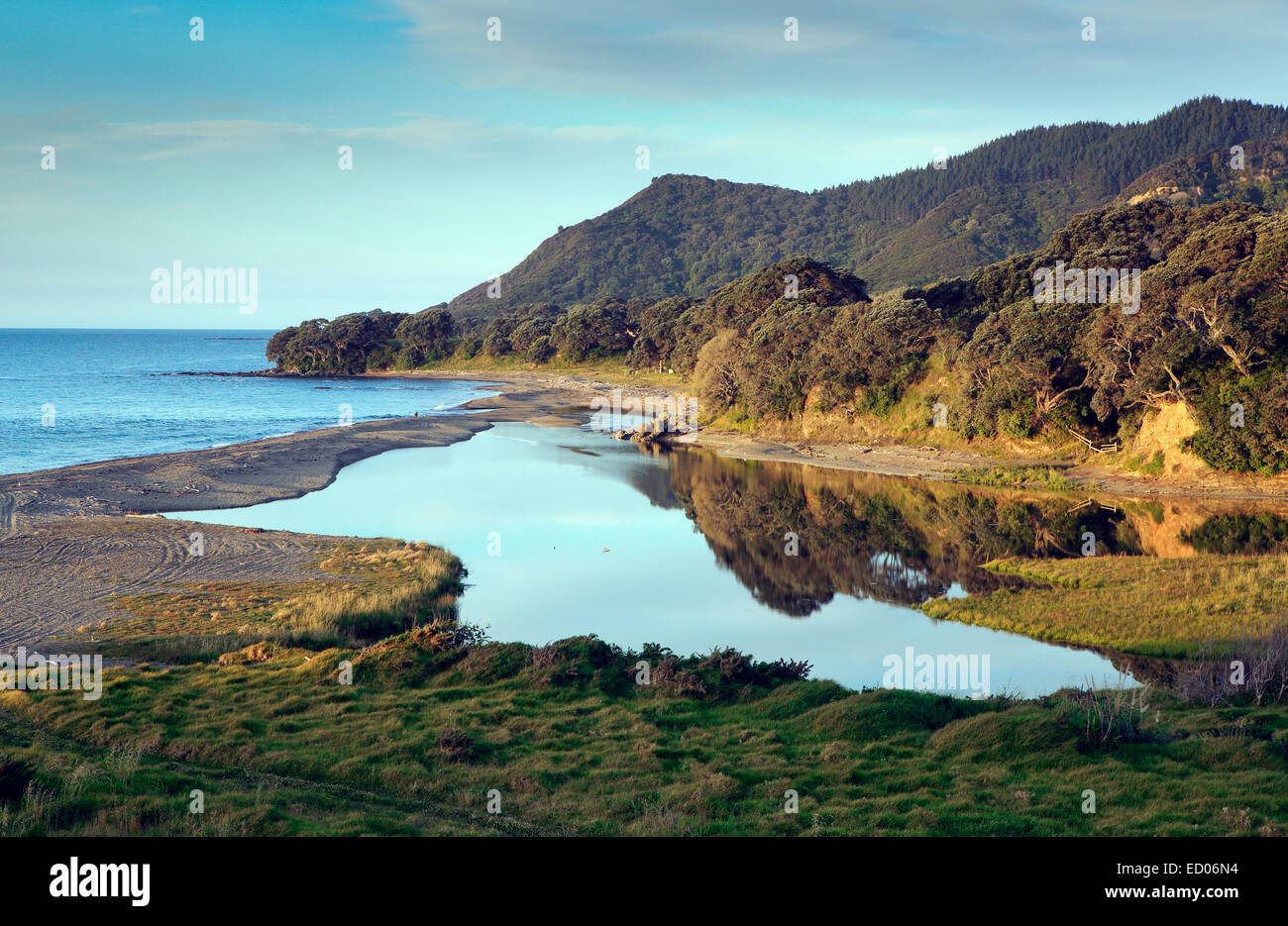 Malerische Küste in der Bay of Plenty, New Zealand Stockfoto