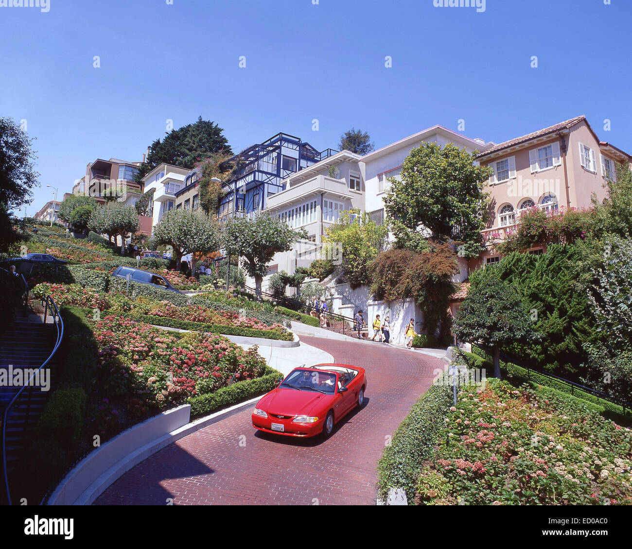 Lombard Street (kurvenreichsten Straßen der Welt), Russian Hill, San Francisco, California, Vereinigte Staaten von Amerika Stockfoto