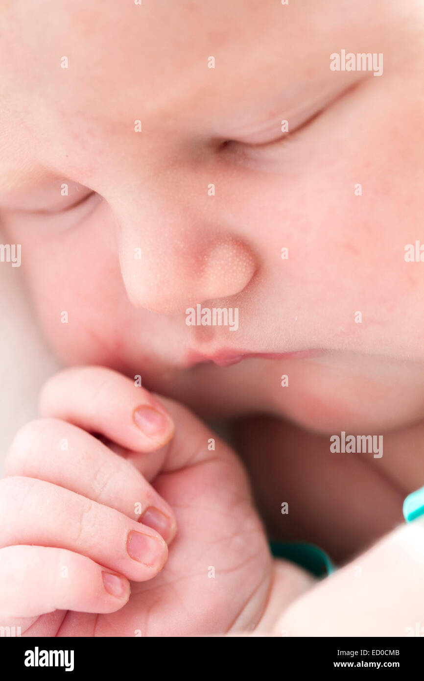 Schlafendes Babymädchen (0-1 Monate) mit geballter Faust Stockfoto