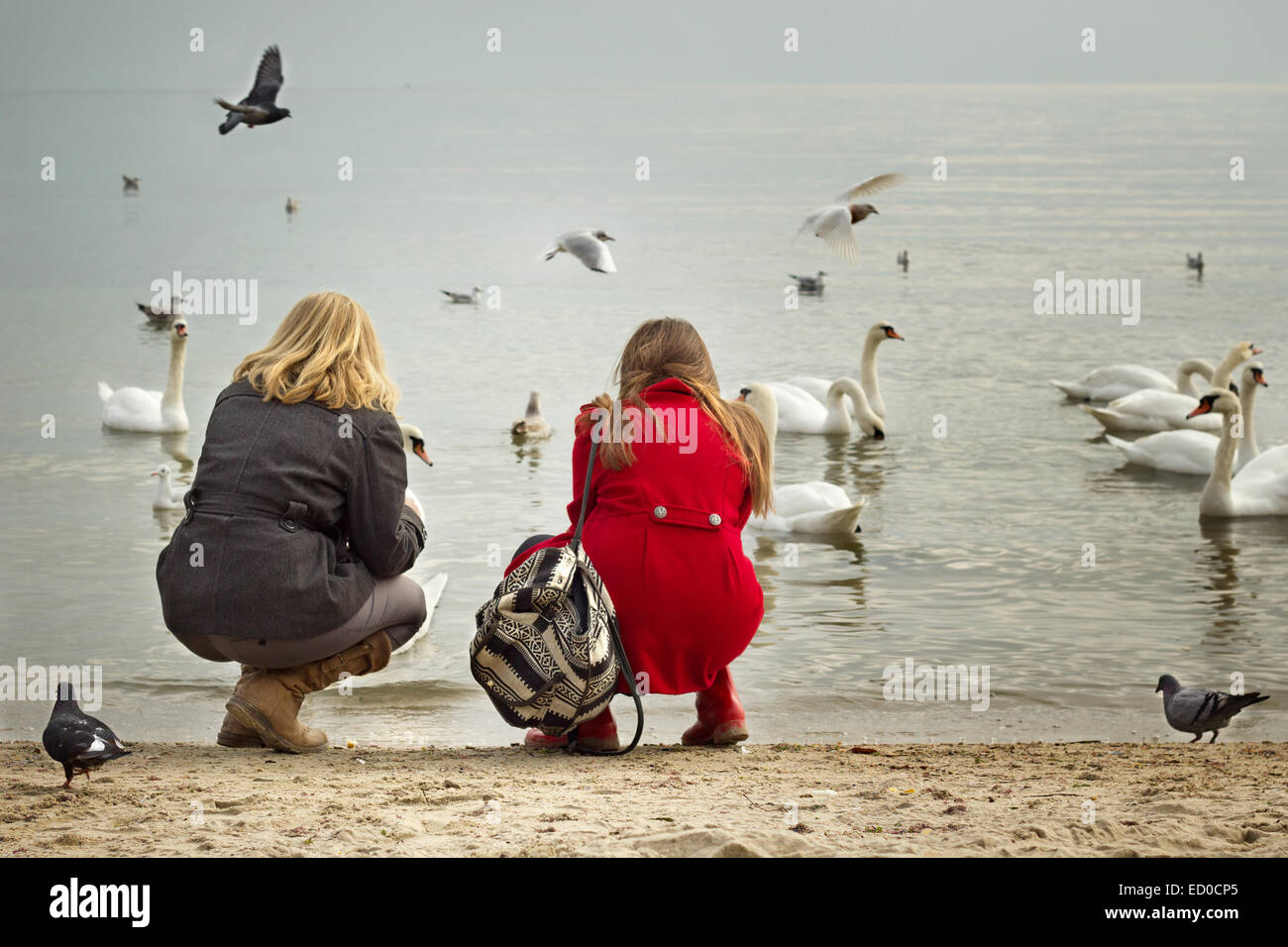 Bulgarien, Varna, zwei Mädchen (12-13, 16-17) am Strand mit Blick auf Vögel Stockfoto