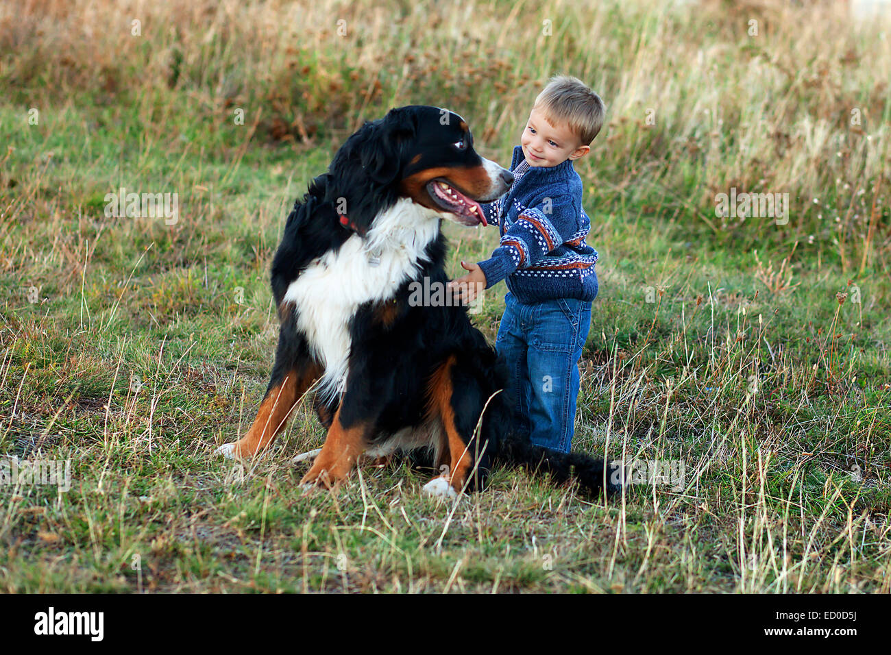 Kleinkind Jungen (18-23 Monate) mit großer Hund Stockfoto