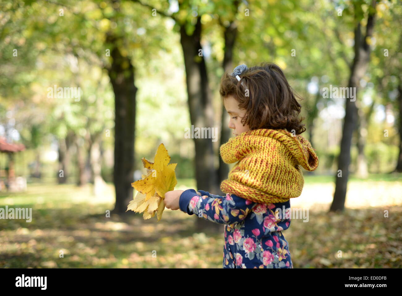 Hübsches kleines Mädchen (4-5) spielen im park Stockfoto