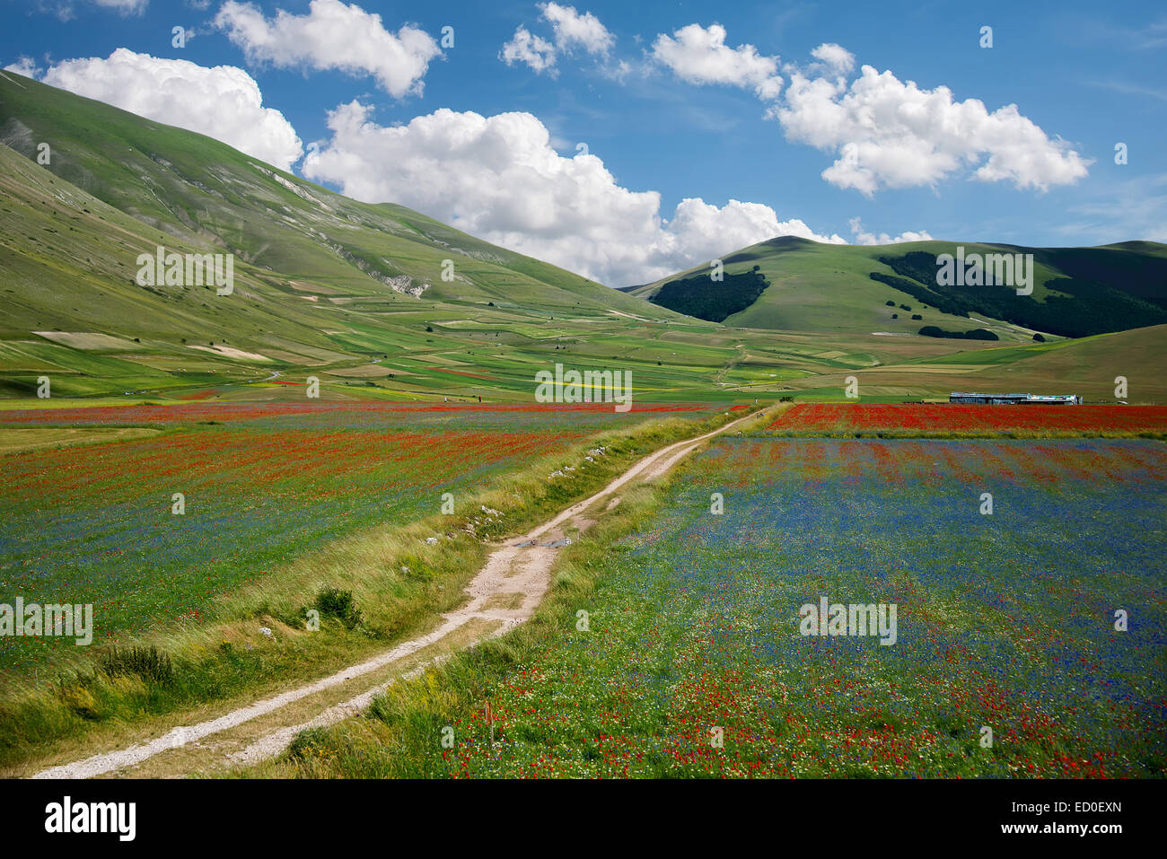 Italien, Umbrien, Monti Sibillini Nationalpark Trail unter Farben Stockfoto