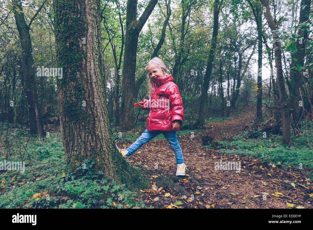 Mädchen in den Wald, Ritthem, Zeeland, Holland Flickschusterei Stockfoto