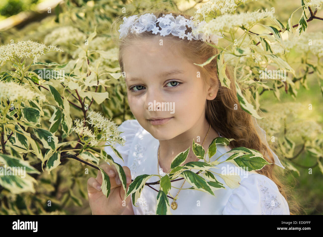 Erstes Kommunion Mädchen (8-9) zwischen Blätter Stockfoto