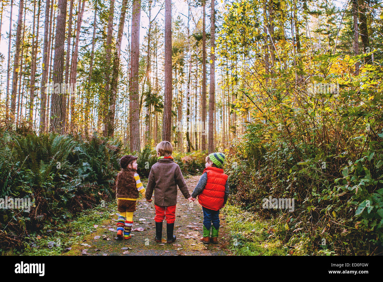 Drei Kinder gehen im Wald spazieren, USA Stockfoto