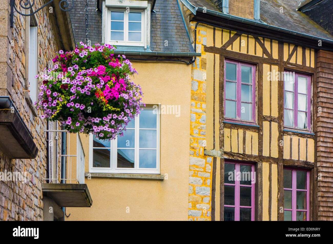 Enge Gassen mit Fachwerkbau und Geranien Blumenampel, Domfront, Normandie Frankreich Stockfoto