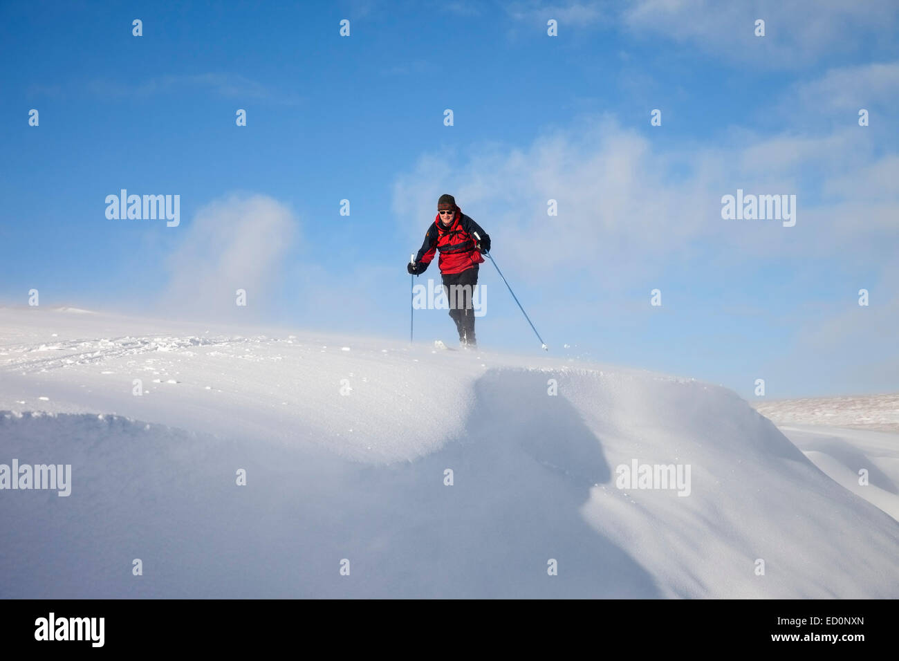 Gestellten Schuss eines Skifahrers Skifahren durch Boden Schneeverwehungen mit Gesims Bildung oberen Teesdale North Pennines County Durham UK Stockfoto