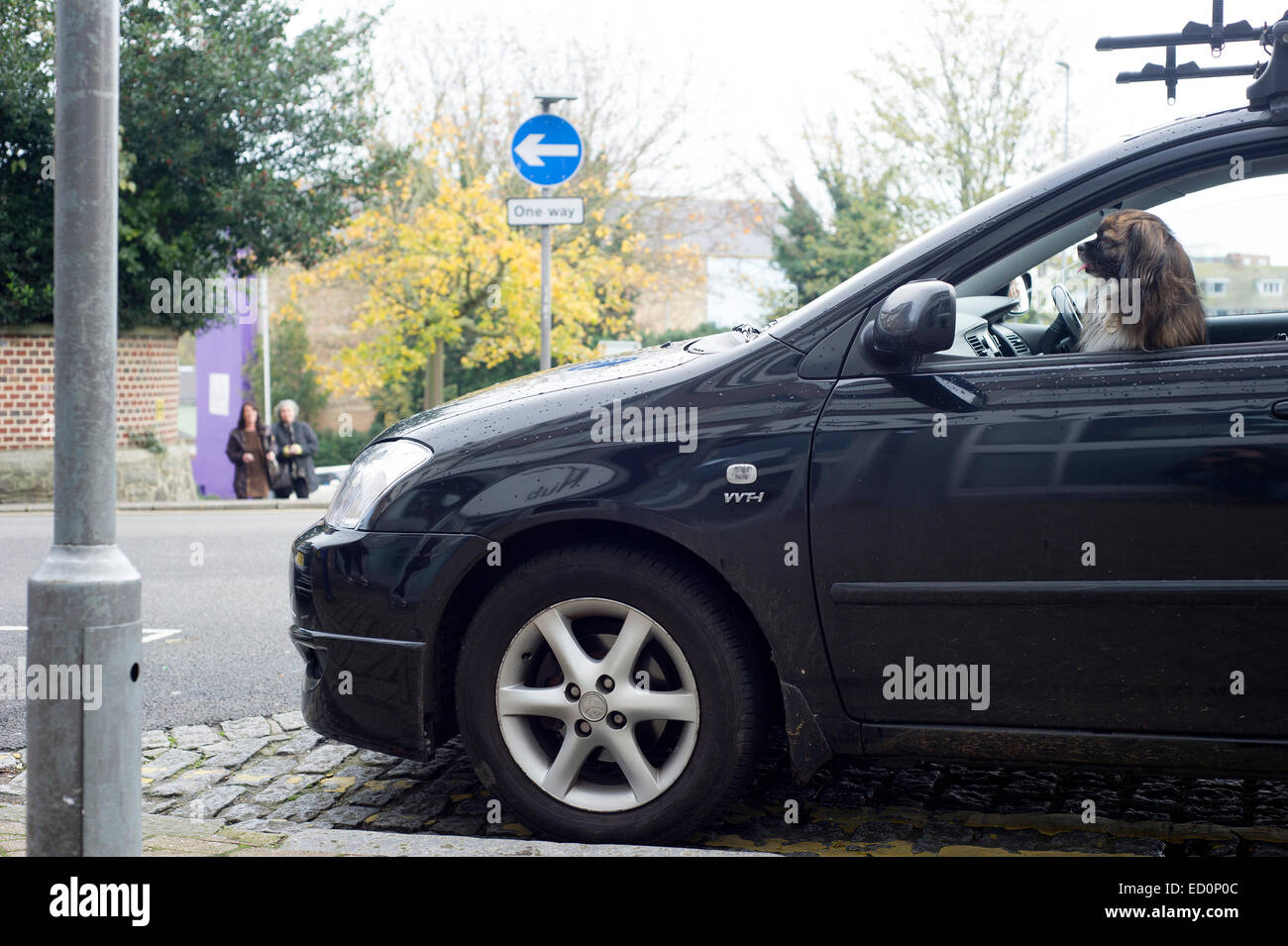 Hund hinter dem Lenkrad sitzen im stationären geparkten Auto. Stockfoto