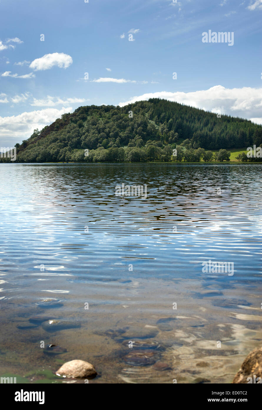 Ein Hügel im Wald bedeckt mit Blick auf das ruhige Wasser der RSPBs Loch Ruthven Reserve in den Highlands von Schottland Stockfoto