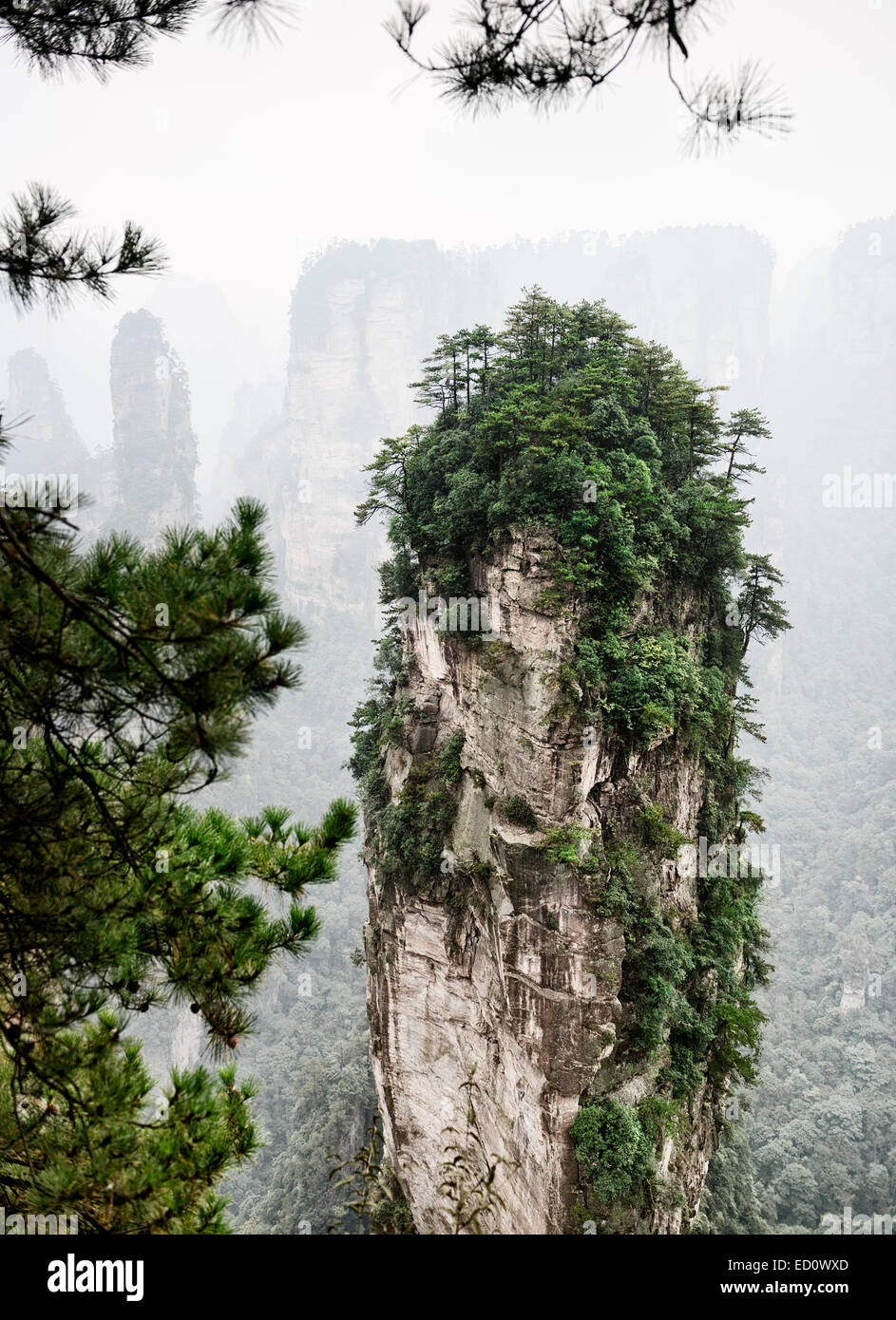 Berg-Turm Zhangjiajie National Forest Park, figgy Naturkulisse, Zhangjiajie, Hunan, China Stockfoto