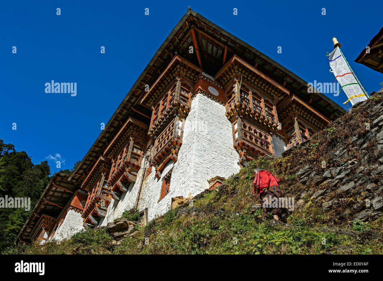 Weibliche Pilgram auf dem Weg zum Tango Kloster, Bhutan Stockfoto