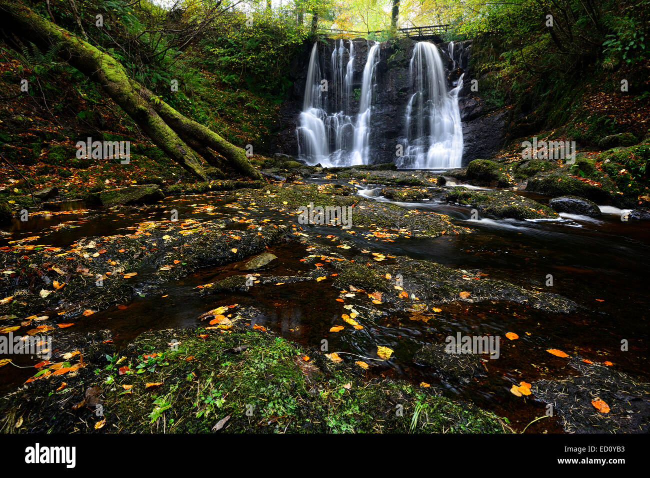 Ess-Na-Crub Wasserfall fällt im Herbst herbstliche Inver Fluss Glenariff Forest Park County Antrim Nordirland RM Glens von antrim Stockfoto