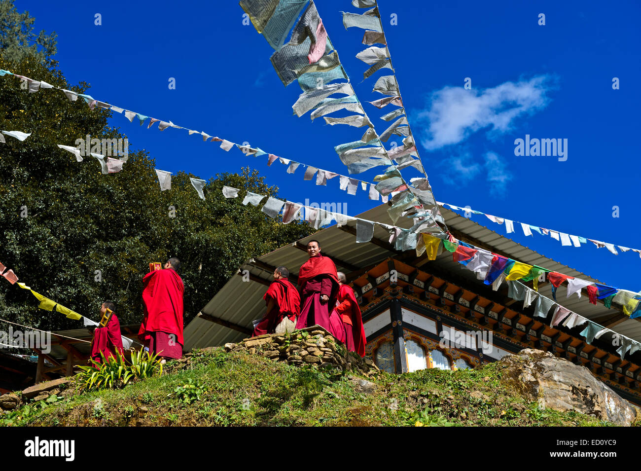 Studenten des buddhistischen Instituts Tango, Tango Kloster, Bhutan Stockfoto