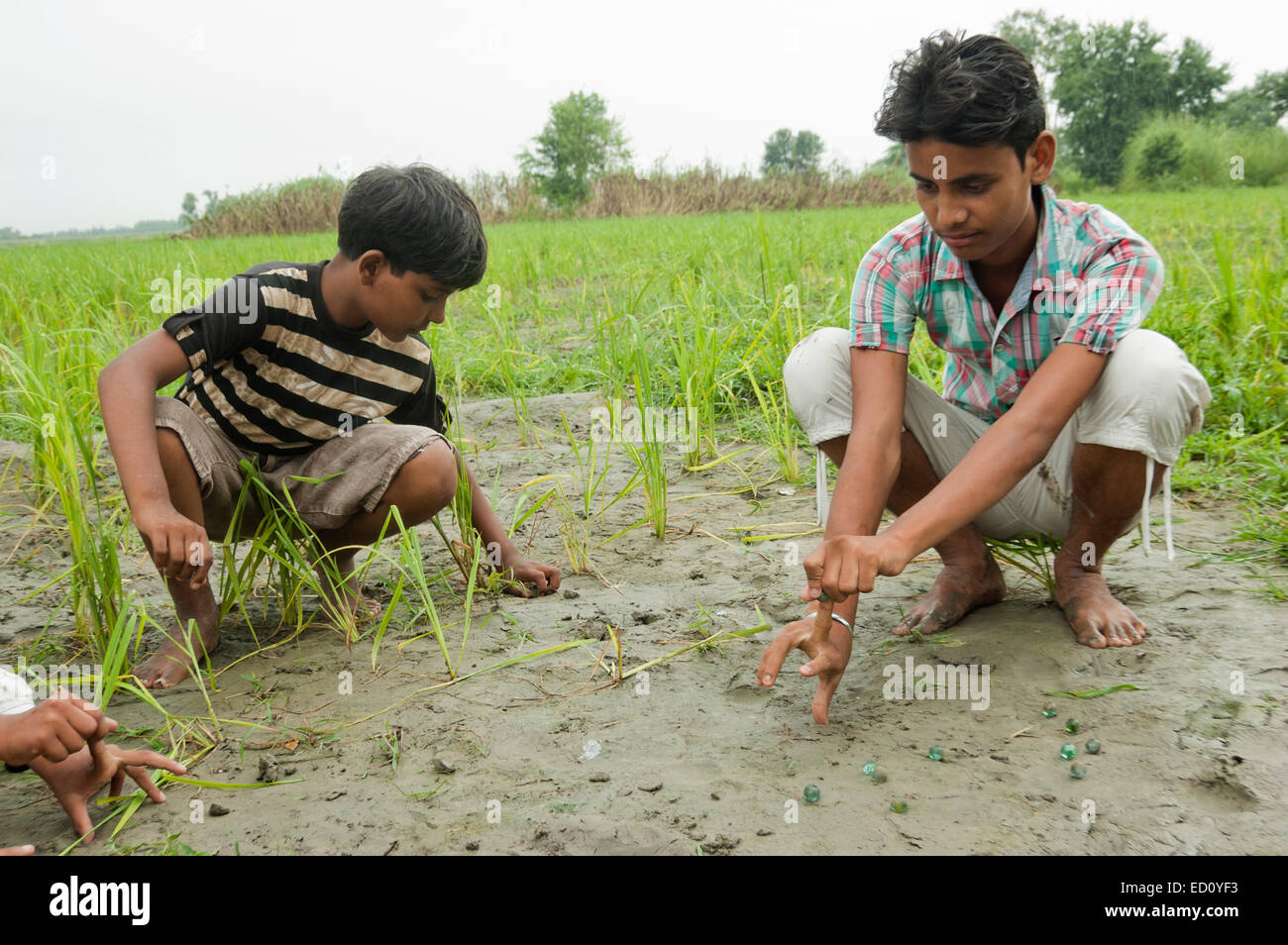 indische ländlichen Streichelzoo spielen Stockfoto