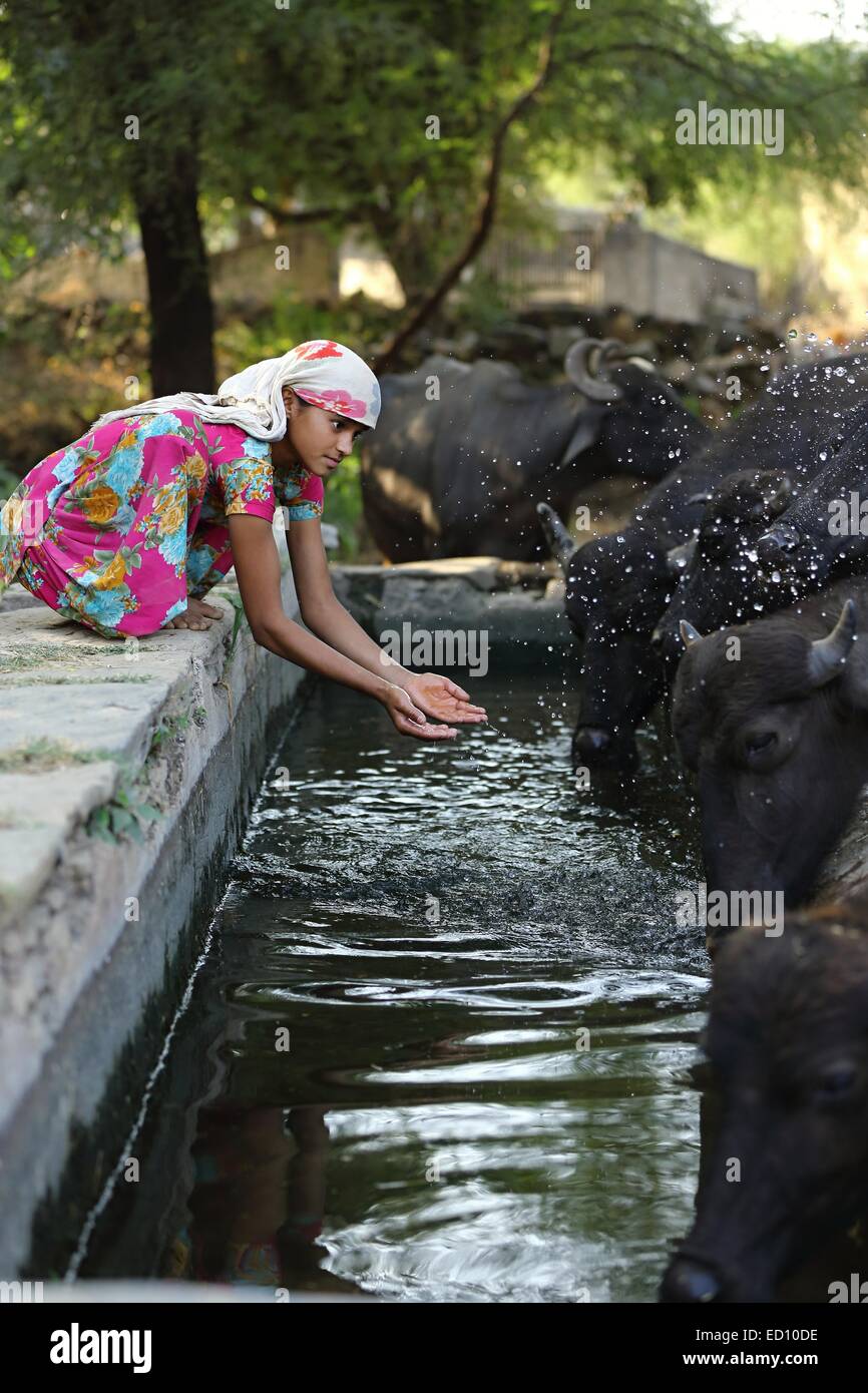 Indische Mädchen spritzen die Büffel mit Wasser Indien Stockfoto