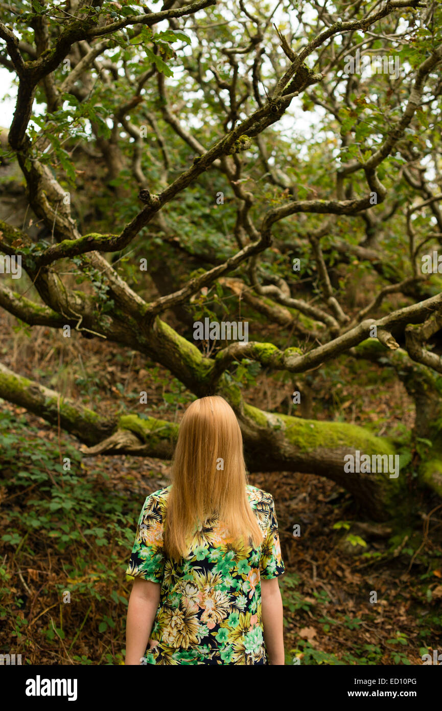 Schüchternheit: Eine rätselhafte Bild von einer jungen Frau Mädchen mit langen blonden Haaren versteckt, verdeckt auf ihr gesamtes Gesicht stehen alleine allein im Herbst Bäume Wälder Wald, uk Stockfoto