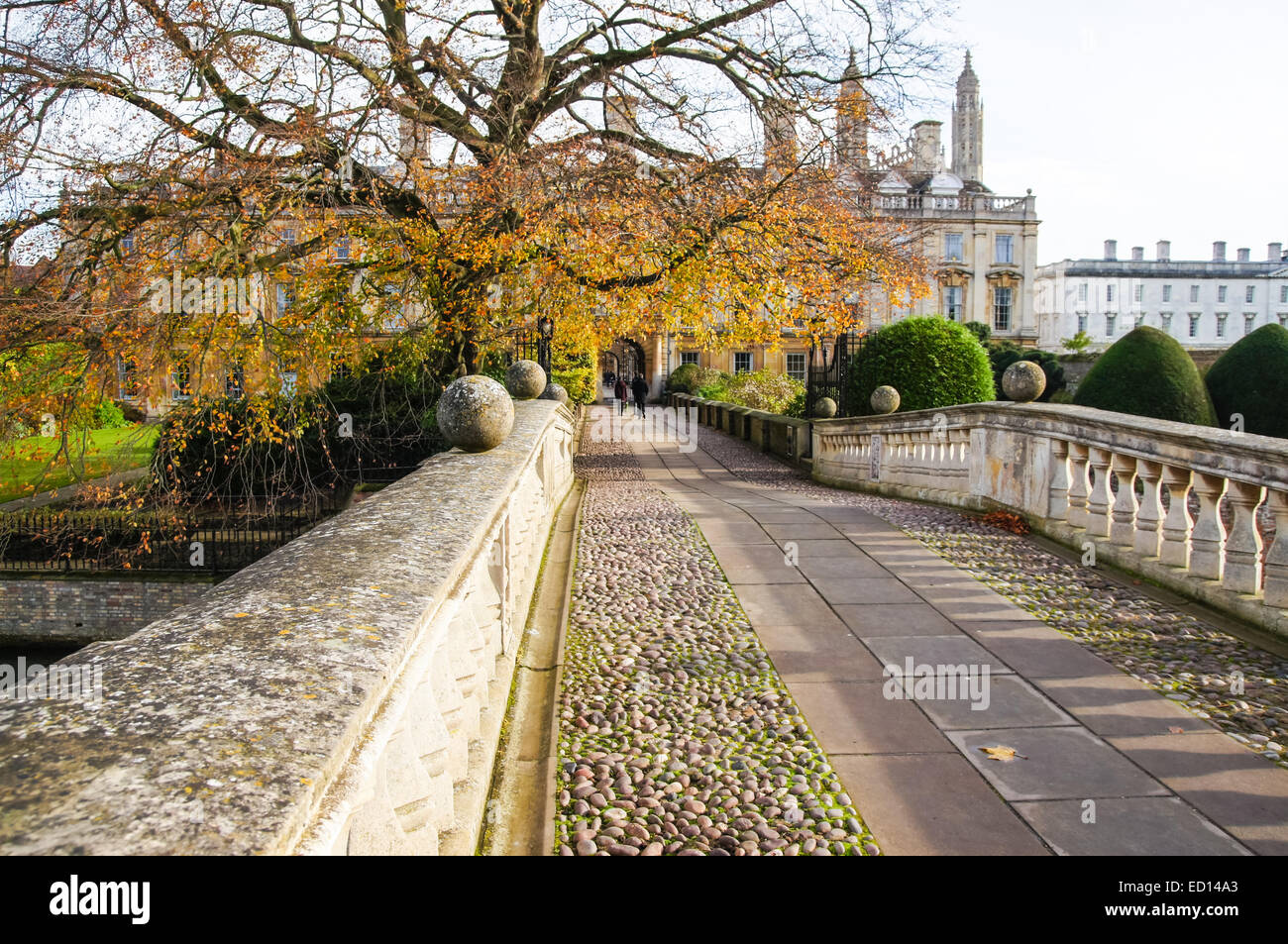 Clare Brücke über den Fluss Cam im Herbst mit Clare Collage im Hintergrund, Cambridge Cambridgeshire England United Kingdom Stockfoto