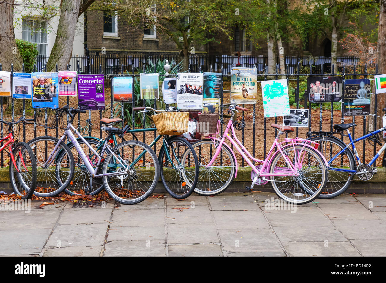 Fahrräder, angekettet an Metallzaun in Cambridge Cambridgeshire England Vereinigtes Königreich Großbritannien Stockfoto