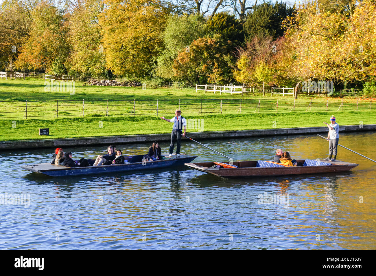 Bootfahren im Herbst auf dem Fluss Cam, Cambridge Cambridgeshire England Vereinigtes Königreich Großbritannien Stockfoto
