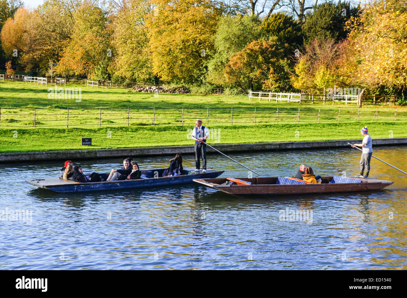 Bootfahren im Herbst auf dem Fluss Cam, Cambridge Cambridgeshire England Vereinigtes Königreich Großbritannien Stockfoto