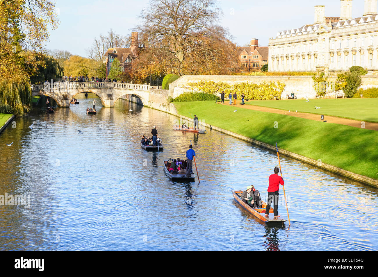Punting im Herbst auf dem Fluss Cam mit Clare College auf der rechten Seite, Cambridge Cambridgeshire England Großbritannien Stockfoto