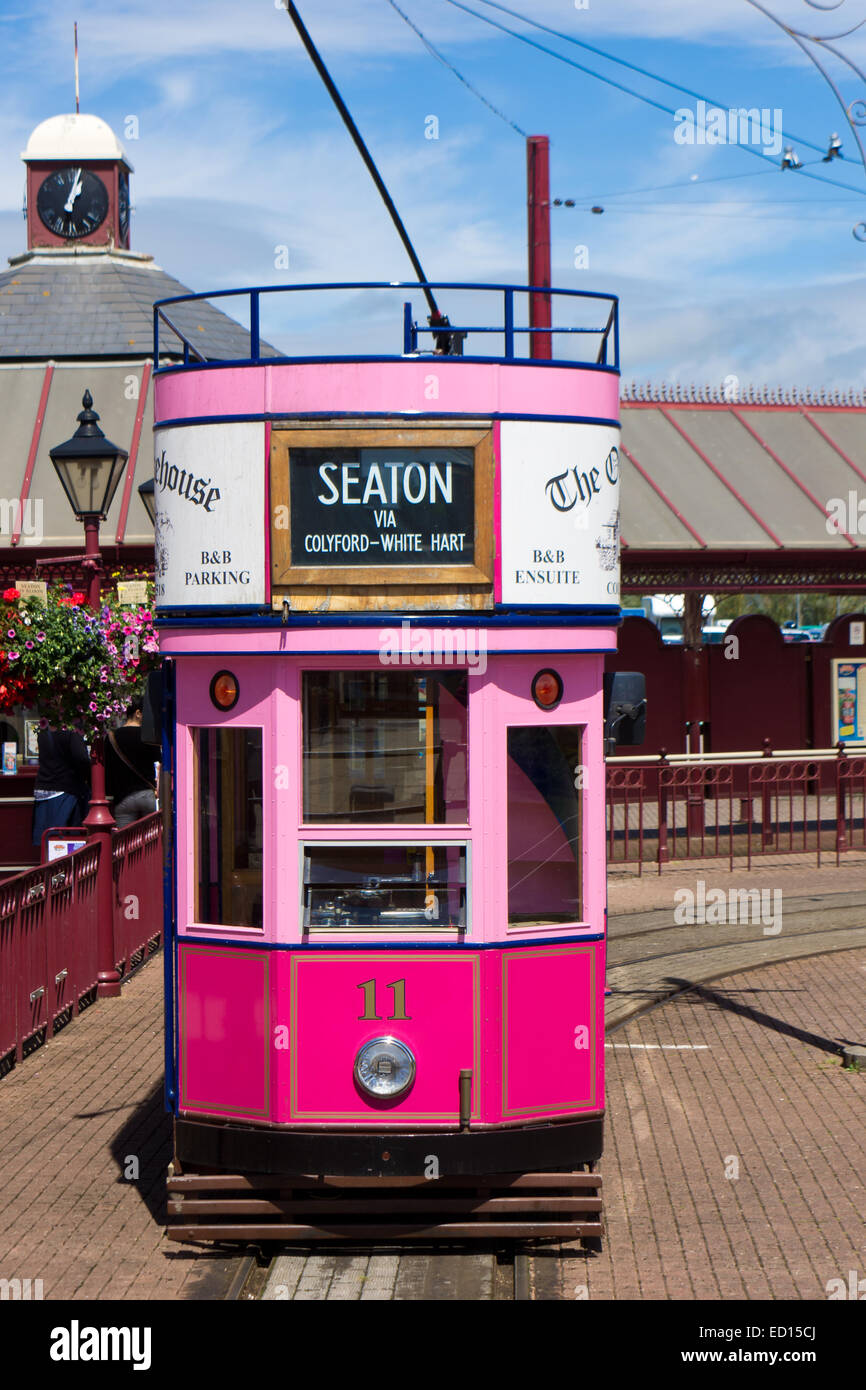 Die Seaton rosa elektrische Straßenbahn an der Haltestelle warten auf mehr Touristen Stockfoto