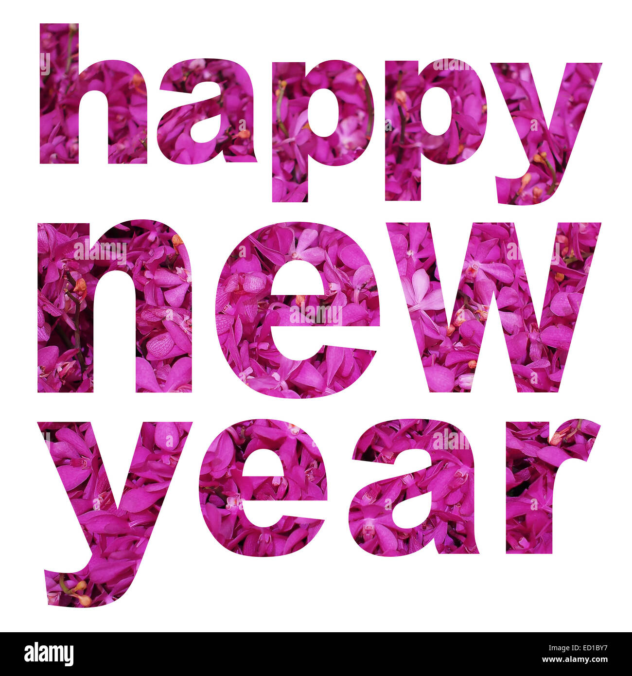 Prosit Neujahr Wort hergestellt aus Orchidee Blumenbild auf weißem Hintergrund Stockfoto