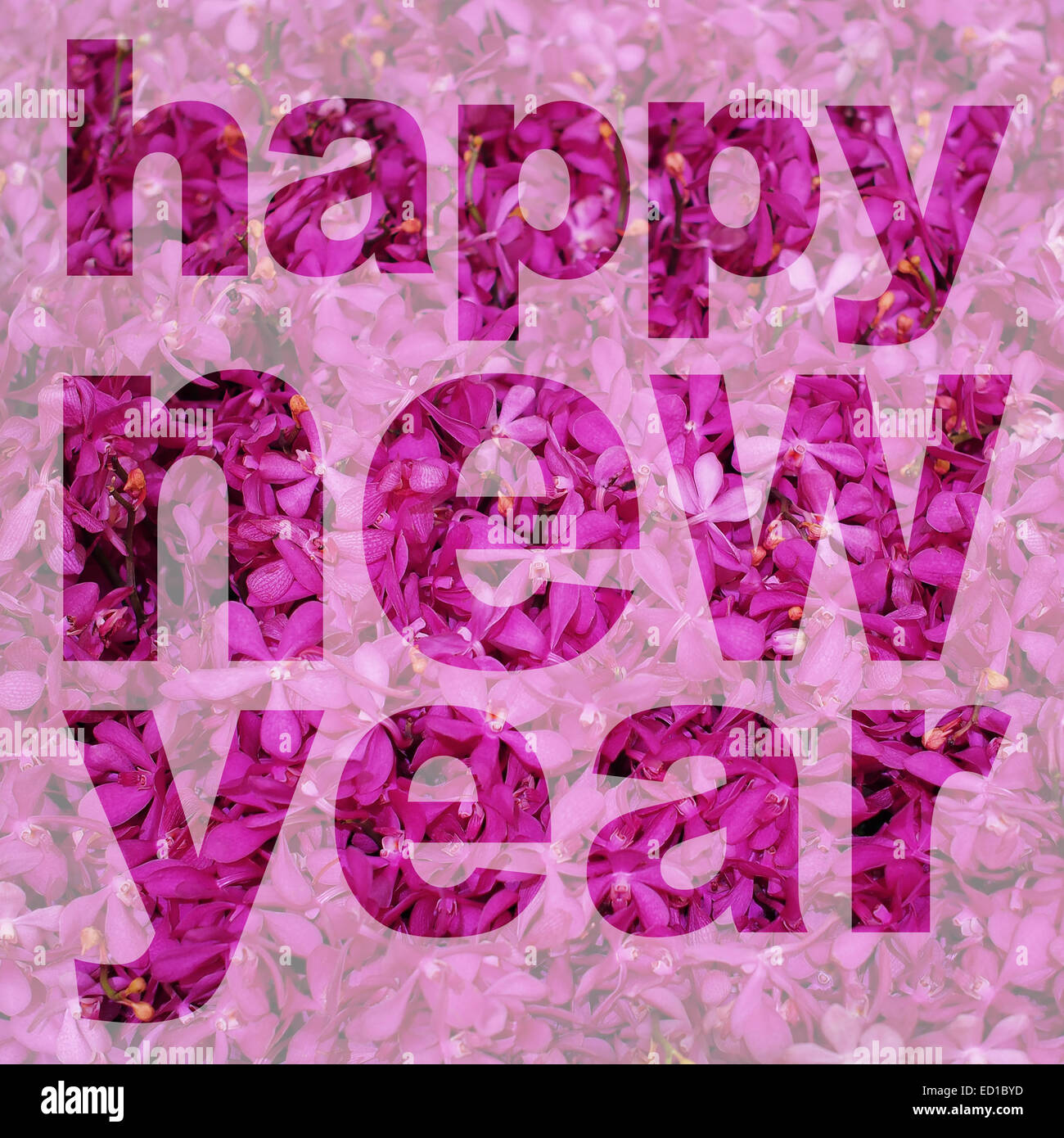 Frohes neues Jahr aus Orchidee Blumenbild gewordene Wort Stockfoto