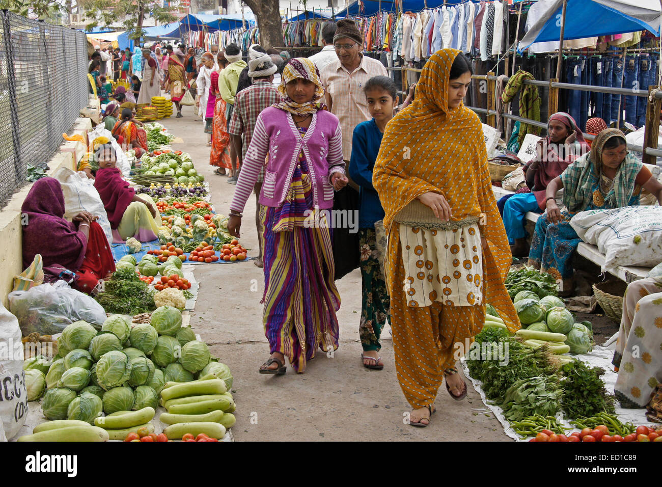 Open-Air-Markt in Chhota-Udepur, Gujarat, Indien Stockfoto